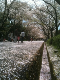 ������[������[