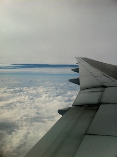 (untitled)