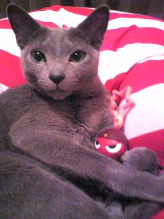 ���C�ɓ���