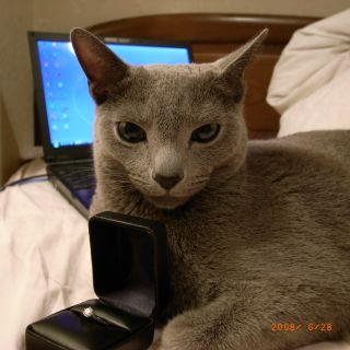 �~�b�N�a���ƃf�B�A�}���e