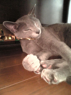 �����K�v�ȓa��